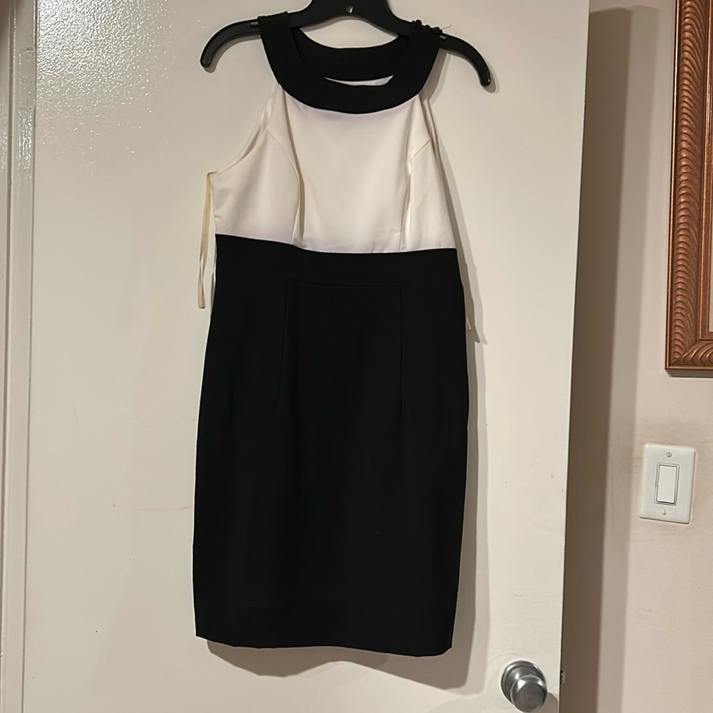 NWT Knee Length Dress